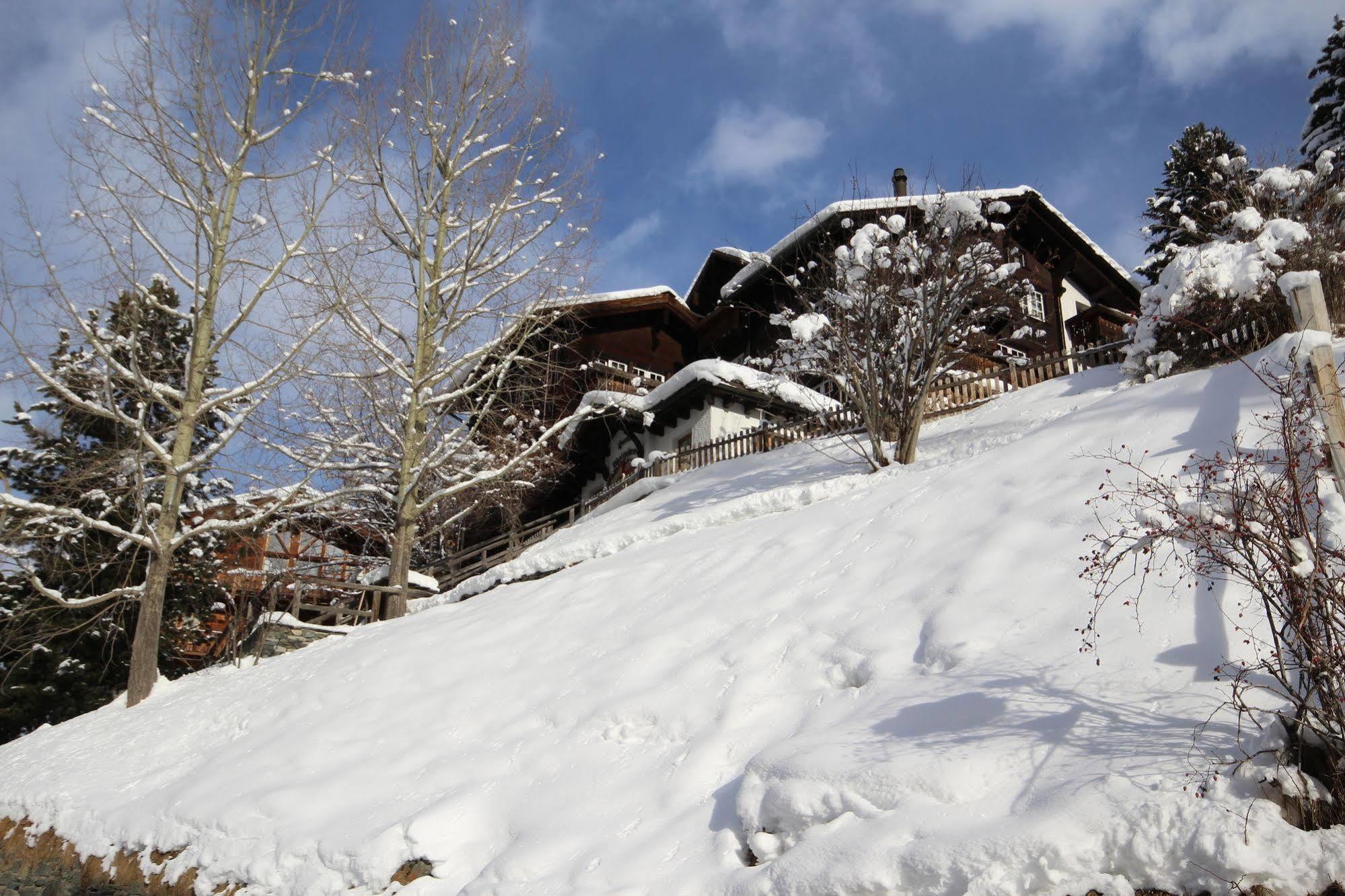 Welschen Hotel Zermatt Exteriér fotografie